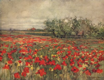 Le Champ de coquelicots - George Hitchcock