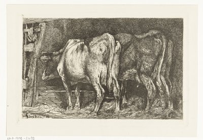 Deux vaches près d