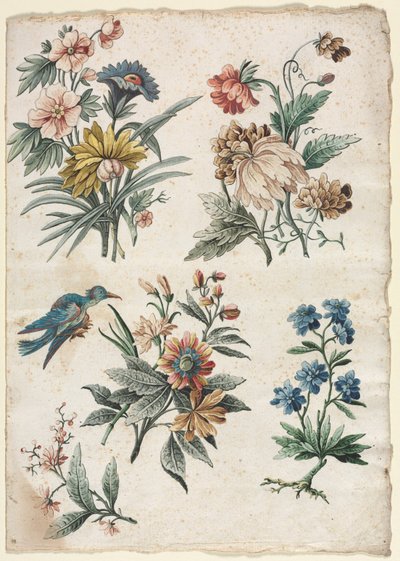 Motifs floraux avec un oiseau bleu - Giacomo Cavenezia