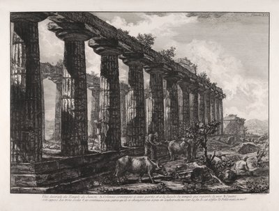 Vue latérale du Temple de Junon - Giovanni Battista Piranesi