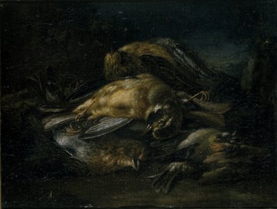 Oiseau mort, 1664 - Giovanni Benedetto Castiglione