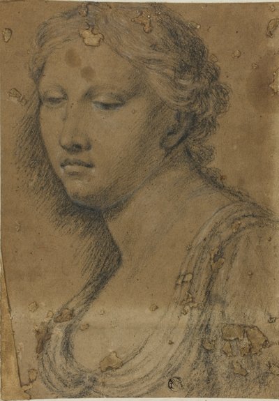 Buste de femme - Girolamo da Carpi