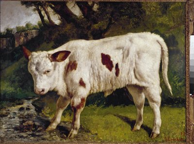 Le veau - Gustave Courbet