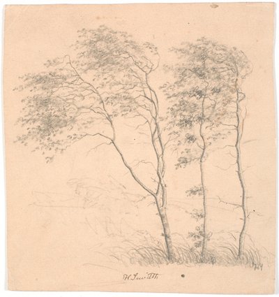 Trois arbres - Hans Smidth