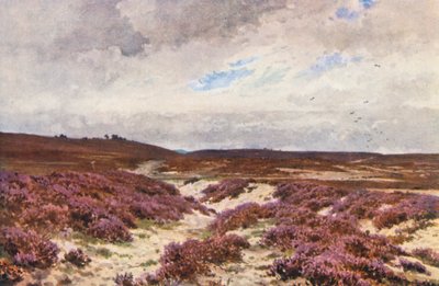 Frensham Common - Harold Sutton Palmer