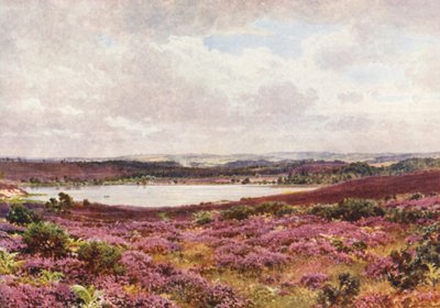 Le Grand Étang, Frensham - Harold Sutton Palmer