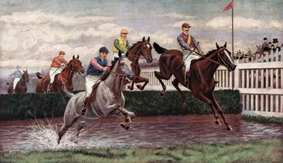 Courses de steeple-chase - Harrington Bird