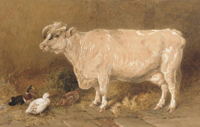 Vache avec des canards dans une grange - Harrison William Weir