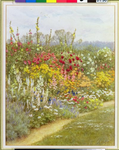 Une bordure herbacée - Helen Allingham