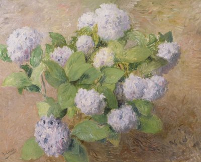 Hortensias bleus - Henri Lerolle