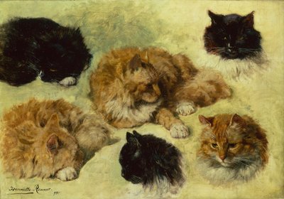 Études de chats - Henriëtte Ronner Knip