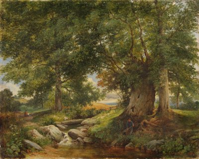 Un ruisseau à truites près de Worcester - Henry Chaplin