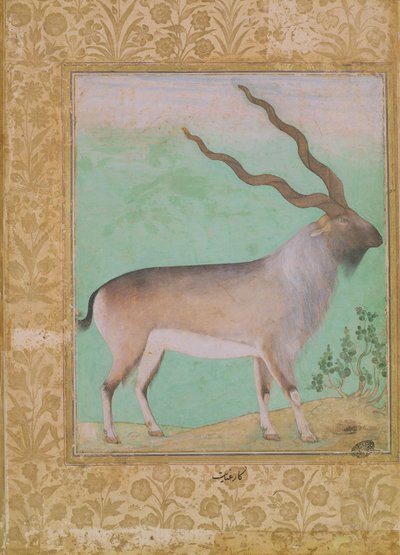 Ibex, Mughal - Indian School