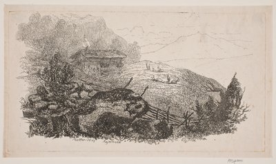 Paysage de Montagne près de Meiringen - J.P. Møller