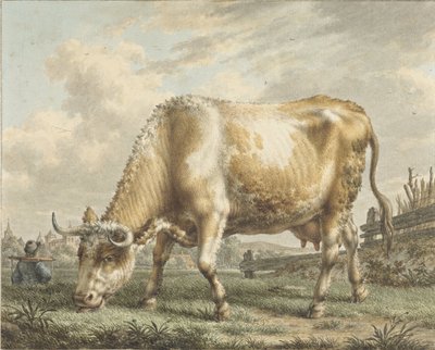 Vache broutant - Jacob  Cats