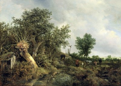 Paysage avec une cabane, 1646 - Jacob van Ruisdael