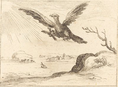 Aigle et jeunes - Jacques Callot