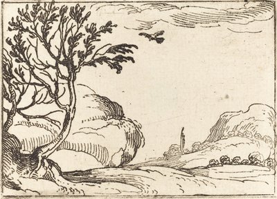 Tourterelle volant dans le désert - Jacques Callot