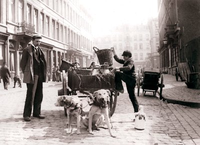 Garçon avec chariot à chien, Anvers, 1898 - James Batkin