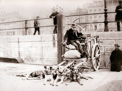 Homme avec charrette à chien, Anvers, 1898 - James Batkin