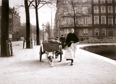 Femme avec charrette à chien, Rotterdam, 1898 - James Batkin