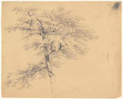 Arbre - James Goodwyn Clonney