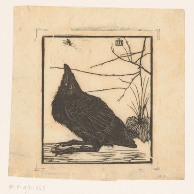 Corbeau regardant vers un moustique - Jan Mankes