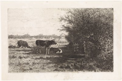 Vaches dans un pré - Johannes Martinus Vrolijk