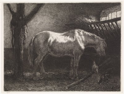 Cheval dans une étable - Johannes Martinus Vrolijk