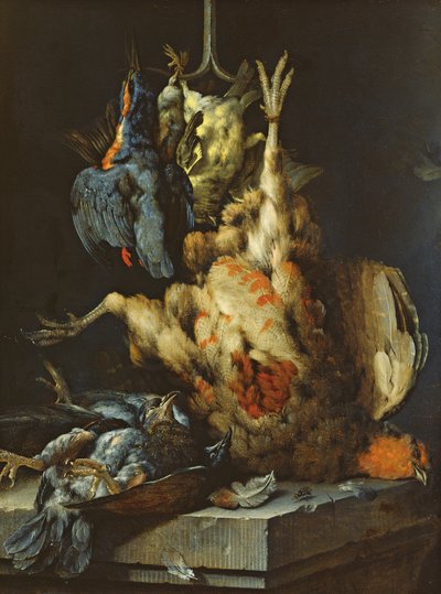 Nature morte - Jan Baptist Weenix