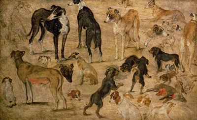 Étude de chiens, 1616 - Jan the Elder Brueghel