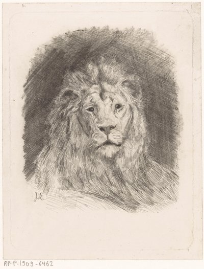 Tête de lion - Jan van Essen