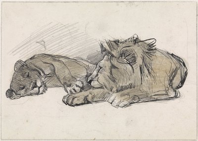 Lion et lionne couchés - Jan van Essen