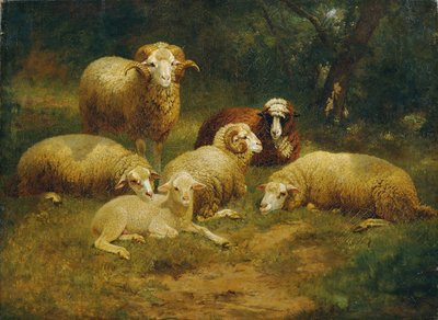 Moutons - Johann Baptist Hofner