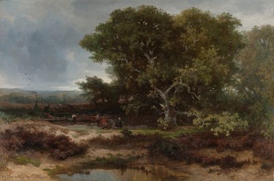 La lande près de Wolfheze - Johannes Warnardus Bilders