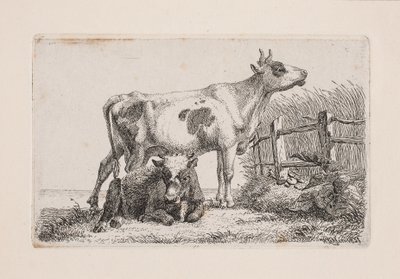 Une vache reposante et une vache debout - Johannes Wilhelm Zillen