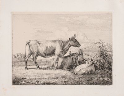 Vaches dans le champ - Johannes Wilhelm Zillen