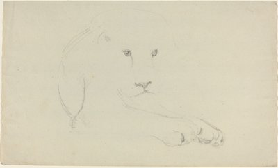 Lion - John Flaxman