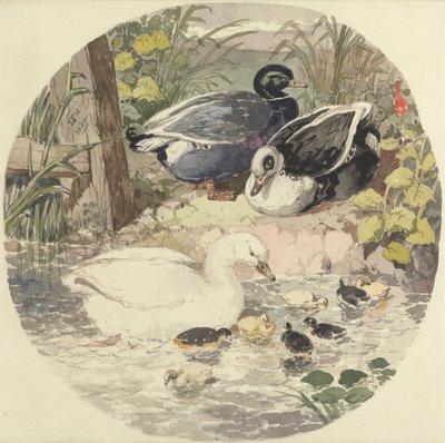 Canards - John Frederick Herring