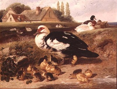 Canards et canetons - John Frederick Herring Jnr