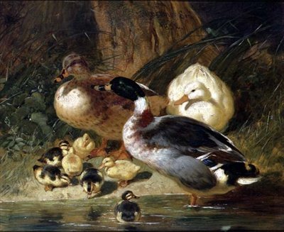 Canards et canetons - John Frederick Herring Senior