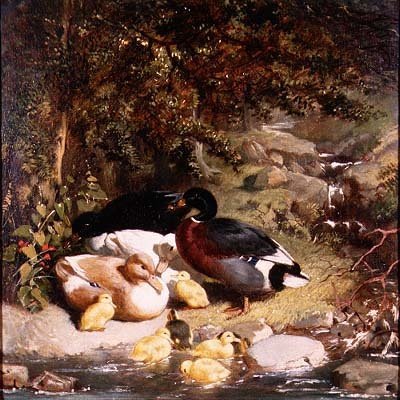 Canards et canetons - John Frederick Herring Senior