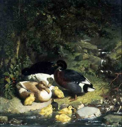 Canards et canetons - John Frederick Herring Senior