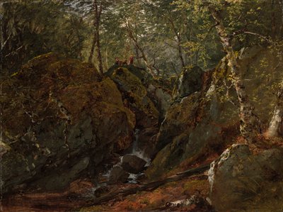 Cascade de Catskill - John Frederick Kensett