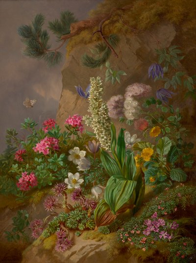 Fleurs des Alpes - Joseph Schuster