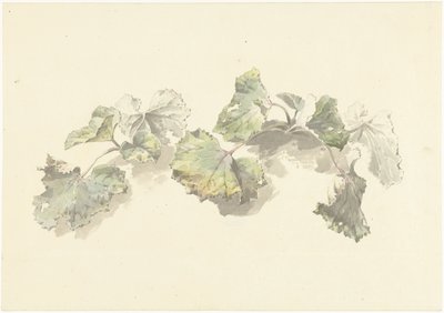 Étude de feuilles - Josephus Augustus Knip