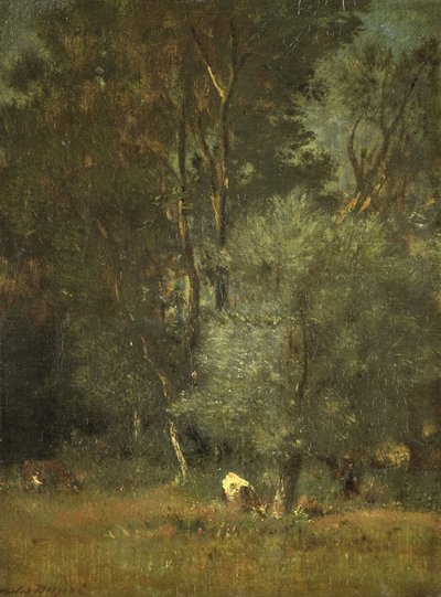 Vue dans les bois - Jules Dupré