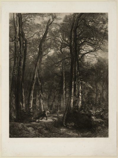 Dans la forêt - Karl Bodmer