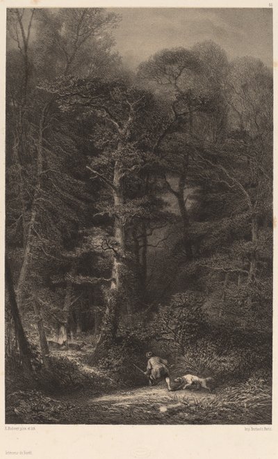 Intérieur de forêt - Karl Bodmer