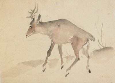 Cerf, fin 18e-début 19e siècle - Katsushika Hokusai